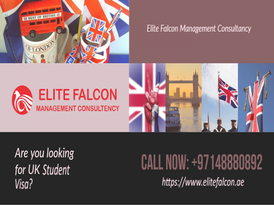 Elite Falcon Consultant Dubai