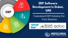 ERP Software Development Company in Dubai | Indglobal