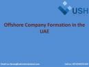 Cost of company registration in Dubai