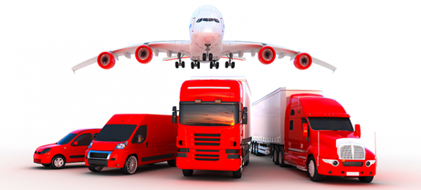 Transport company in the Emirates 00971507828316