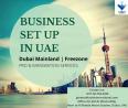 UAE Company Set Up  Made Easier