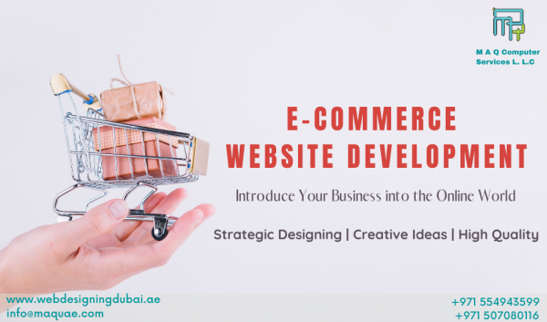 Looking To Build Your Own E-commerce Website?
