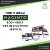 Get The Best Magento ECommerce Web Development Services To Grow Your Business