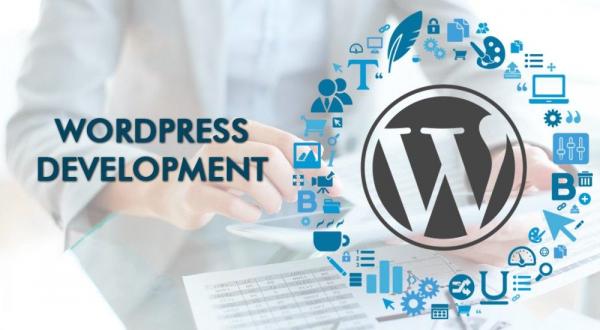 WordPress Developer Dubai| Website Designer Dubai |Web Developer Dubai