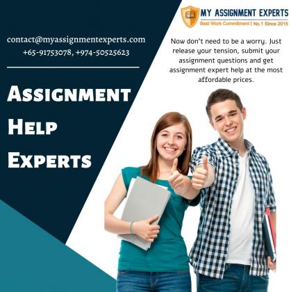 English assignment help UAE