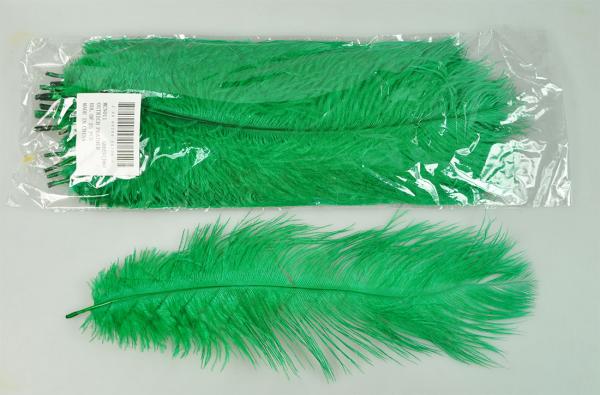 Peacock Feather Wholesale Supplier