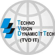 TVD IT LLC