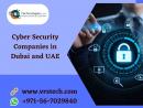 What are Cyber Security Measures to Protect your Data in Dubai?