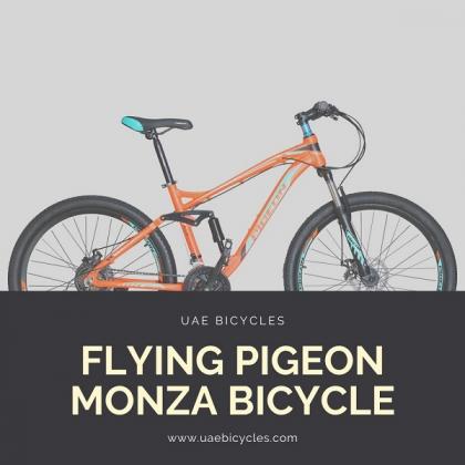 Shop Flying Pigeon Monza Bicycle at Best Prices
