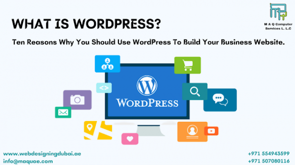 What is WordPress? Ten Reasons Why You Should Use WordPress To Build Your Business Website.