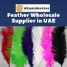 Buy Feathers Online in UAE at Best Prices