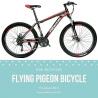 Buy Flying Pigeon Bicycles in Dubai at Best Prices