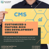Custom CMS Development & CMS Services | CMS Website Development Dubai
