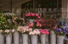 Shop Fresh Flowers In Dubai For Your Loved Ones