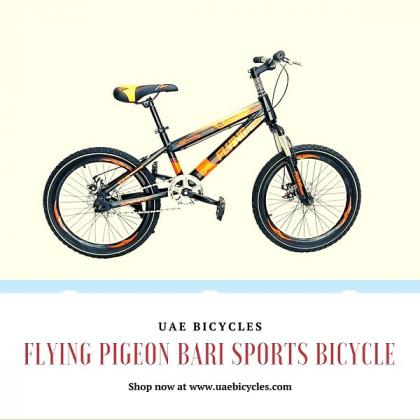 Buy Flying Pigeon Bari Sports Bicycle in Dubai