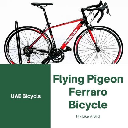 Buy Flying Pigeon Ferraro Bicycle in Dubai