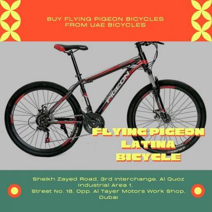 Buy Flying Pigeon Latina Bicycle at Best Prices