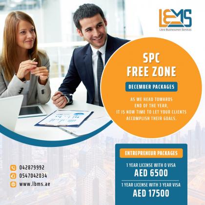 Ecommerce License in UAE
