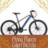 Buy Flying Pigeon Capri Bicycle in Dubai at Best Prices