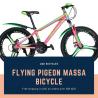 Buy Flying Pigeon Massa Bicycle at Best Prices
