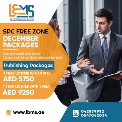 BUSINESS LICENSE WITH UP TO 6 VISA QUOTA