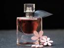Best Perfumes To Enlighten your Personality
