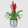 Looking For The Best Metal Plant Pots in Dubai?