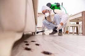 Best Cockroach Control Services In Dubai