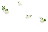 Flower Shop in Dubai