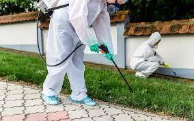 Get Rid of Pests With The Best Pest Control Company in Dubai