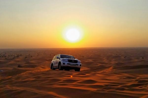 Morning Desert Safari in Dubai