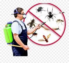 Pest Control and Fumigation in Midrand