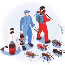 Eco-Pest Control - Pest Control and Fumigation in Roodepoort