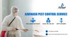 Best Pest Control Services experts in Chennai – Aavinashpestcontrol.com