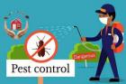 Eco Fumigation - Pest Control & Fumigation in Roodepoort