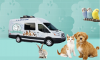 Mobile Pets Grooming Services in Dubai