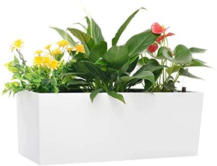 Are You Looking for the Best Self Watering Plant Pots in Dubai?