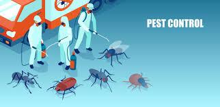 JT Solution - Pest Control in Roodepoort