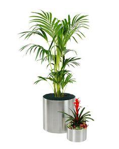 Looking for the Best Aluminum Plant Pots in Dubai?