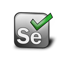 Selenium Test Automation Services in India