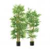 Searching for the best Artificial Bamboo Plants in Dubai | Siji Greenhouse