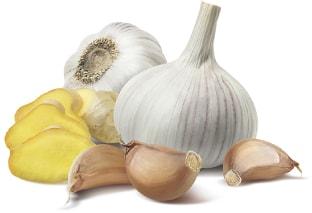 Top Suppliers of Onion Paste in UAE -Angtnonions