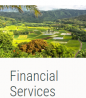Financial Planner in Big Island