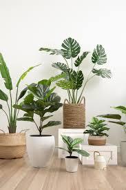 Are Looking for The Realistic Artificial Plants in Dubai?