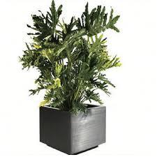 Are You Searching For Stainless Steel Planters in Dubai?