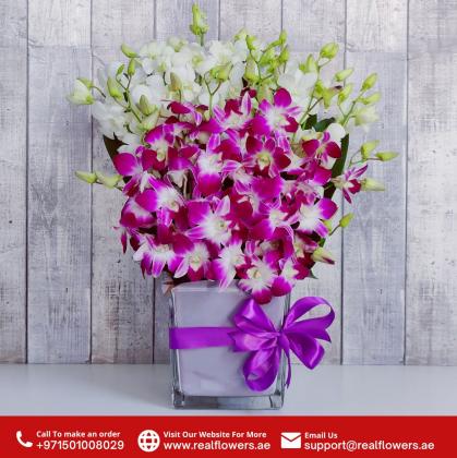 Purple White Orchids Vase