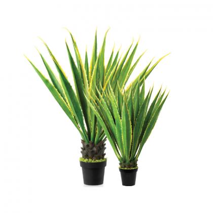 Want To Buy High-Quality Artificial Outdoor Plants in UAE?