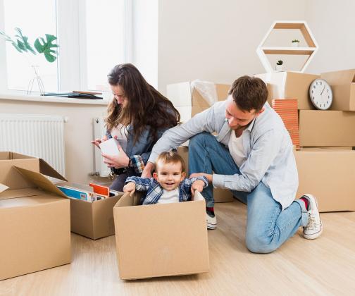 Service Max Movers and Packers Dubai