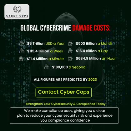 Cyber Security & Compliance Consultant | IT Auditor | Cyber Cops