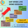 Ariba online training class | Online training course for Ariba